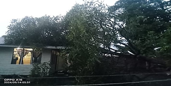 Pemdes Senggoro Bantu Renovasi Rumah Rusak Akibat Puting Beliung