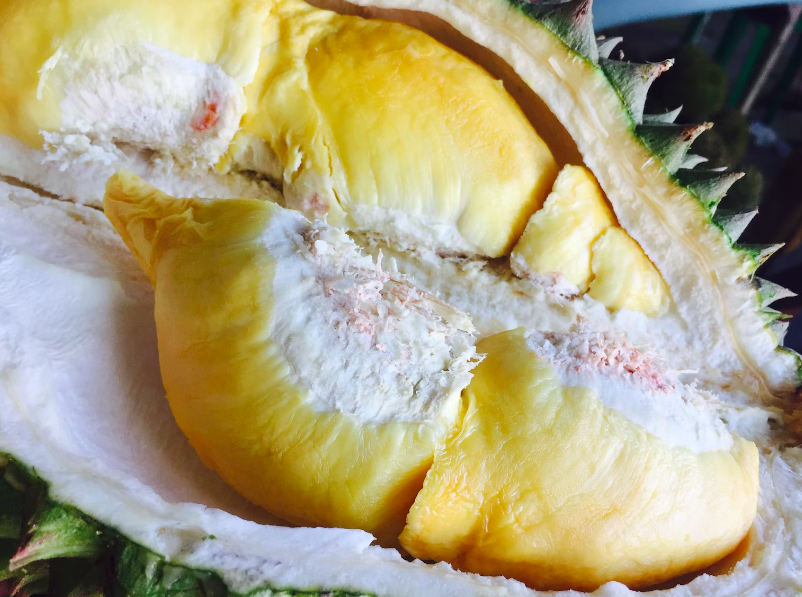 durian-bengkalis-2.png
