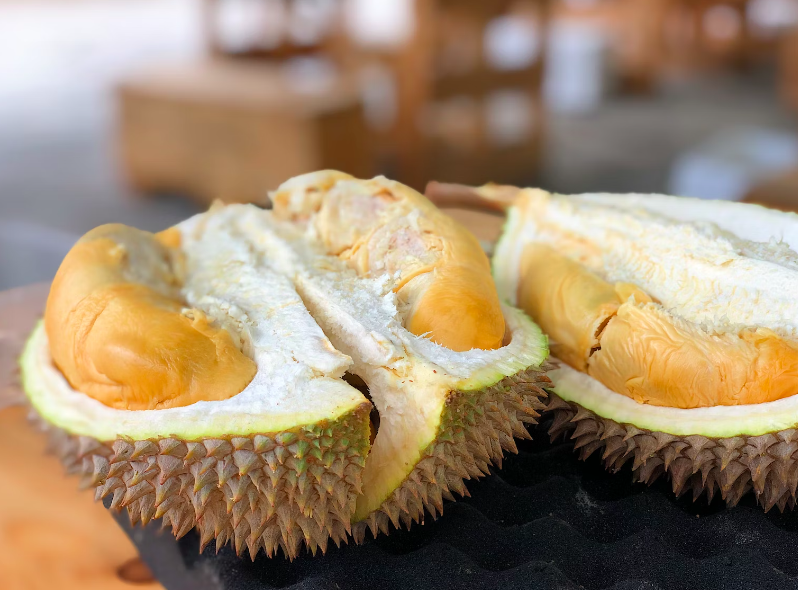 Durian Bengkalis Asli Senggoro